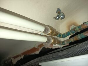 WhatsApp Image 2026-02-10 at 22.28.41